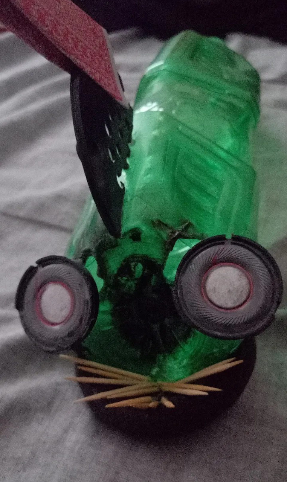 Upcycled fish