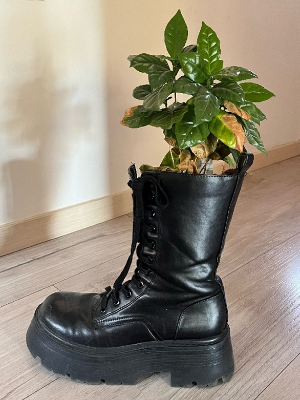 Upcycling flower pot
