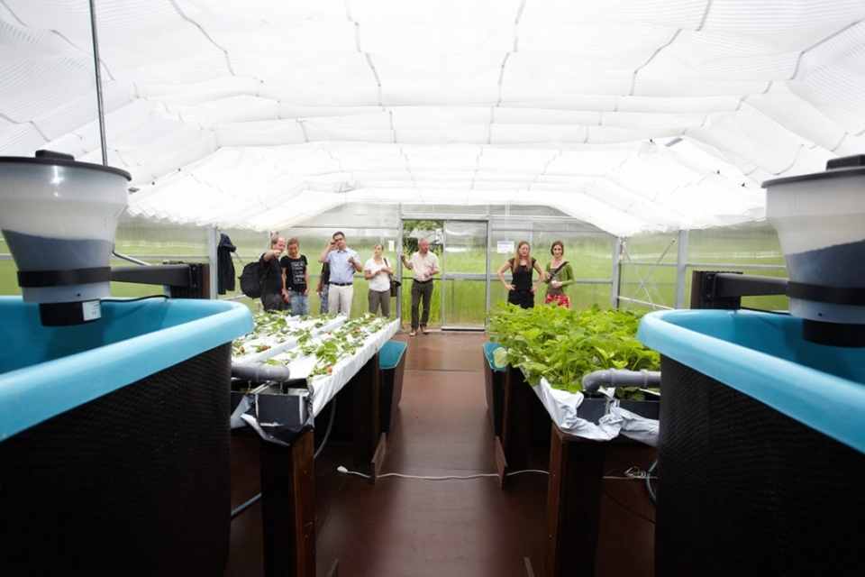Roof Water-Farm
