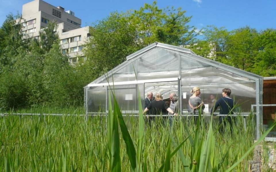 Roof Water-Farm