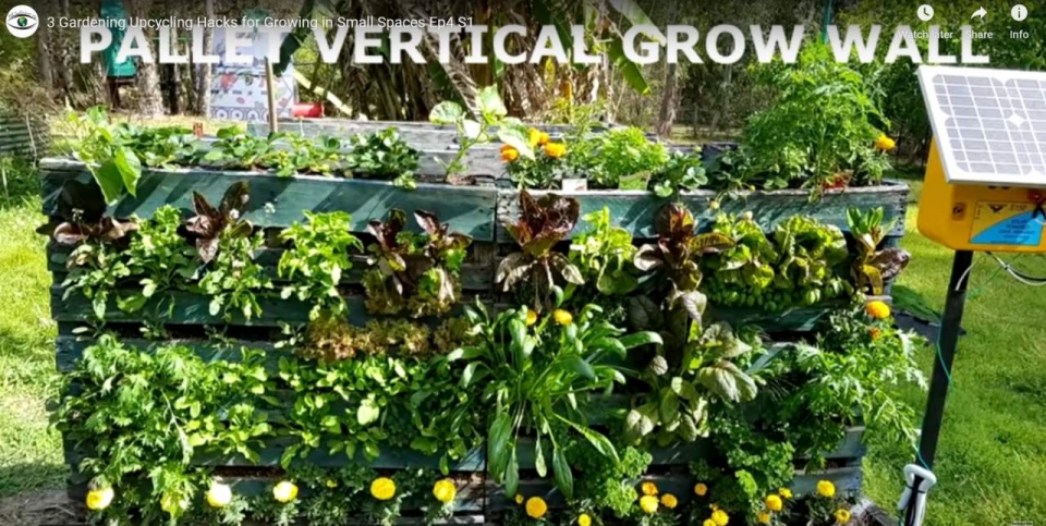 3 Gardening Upcycling Hacks for Growing in Small Spaces