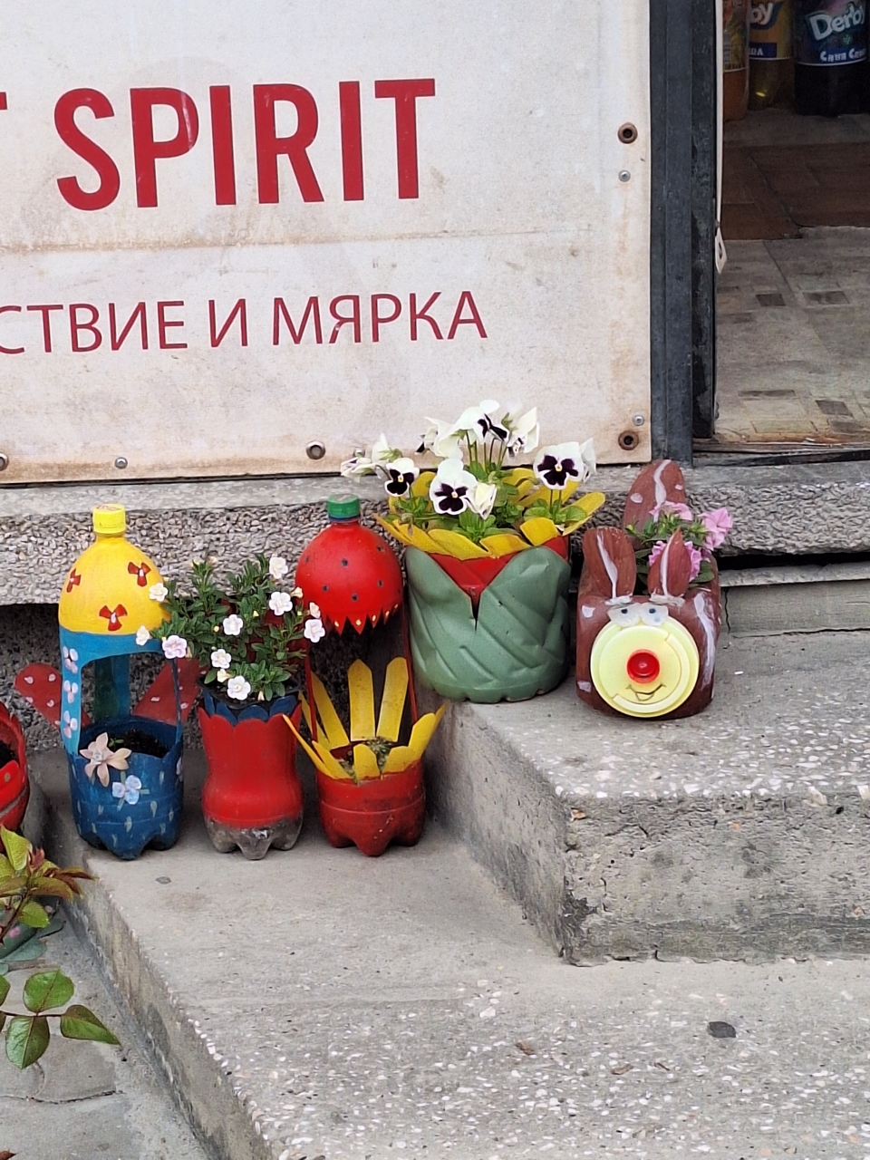 Old bottles into planters!