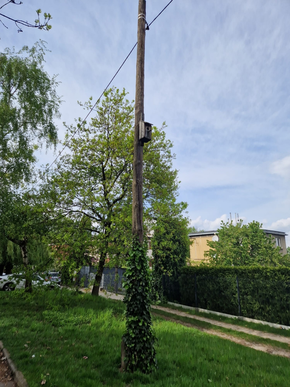 Upcycling projects in my environment